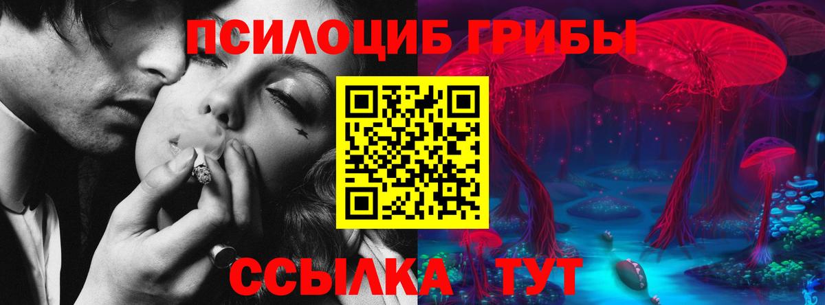 Псилоцибиновые грибы Cubensis Мичуринск